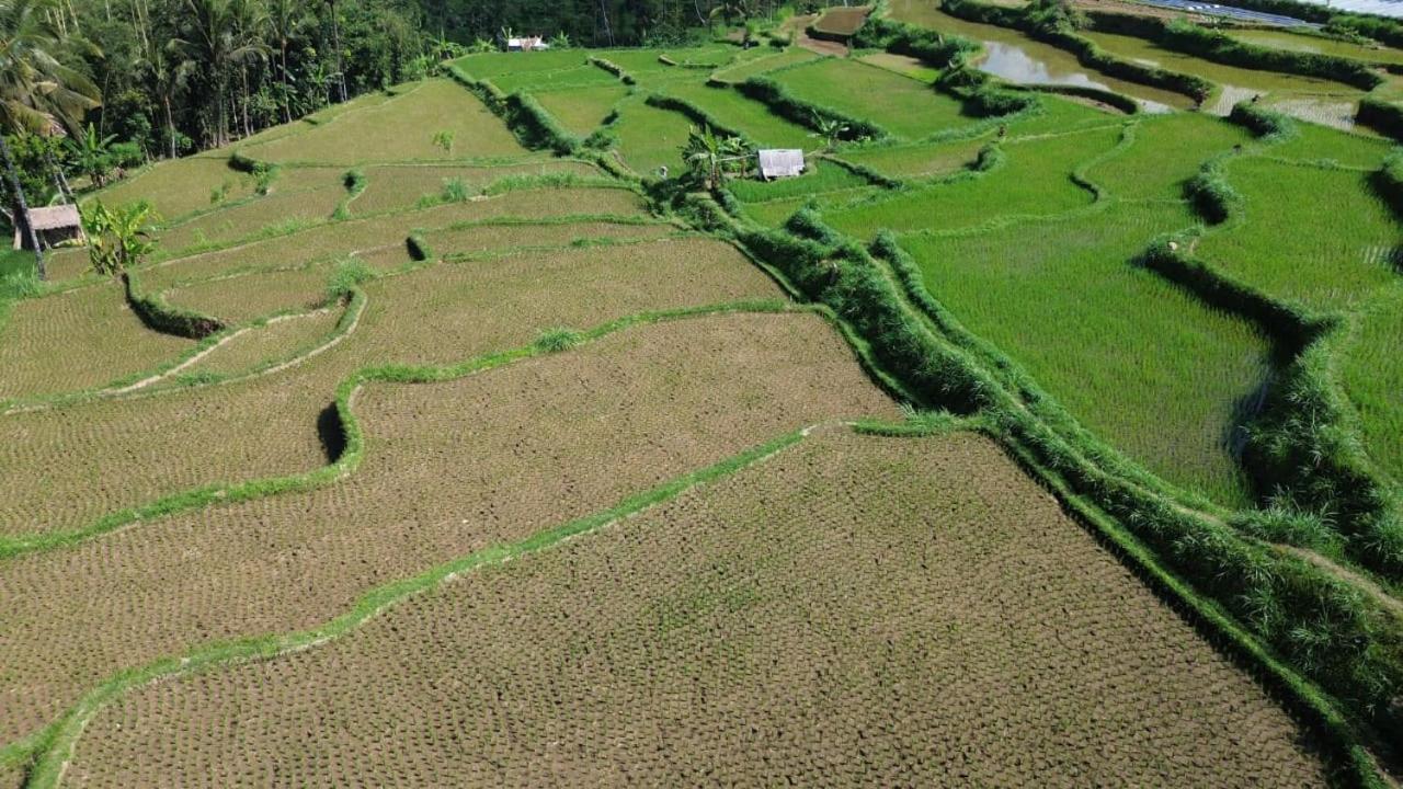 Banana Bungalows Tetebatu Eksteriør billede