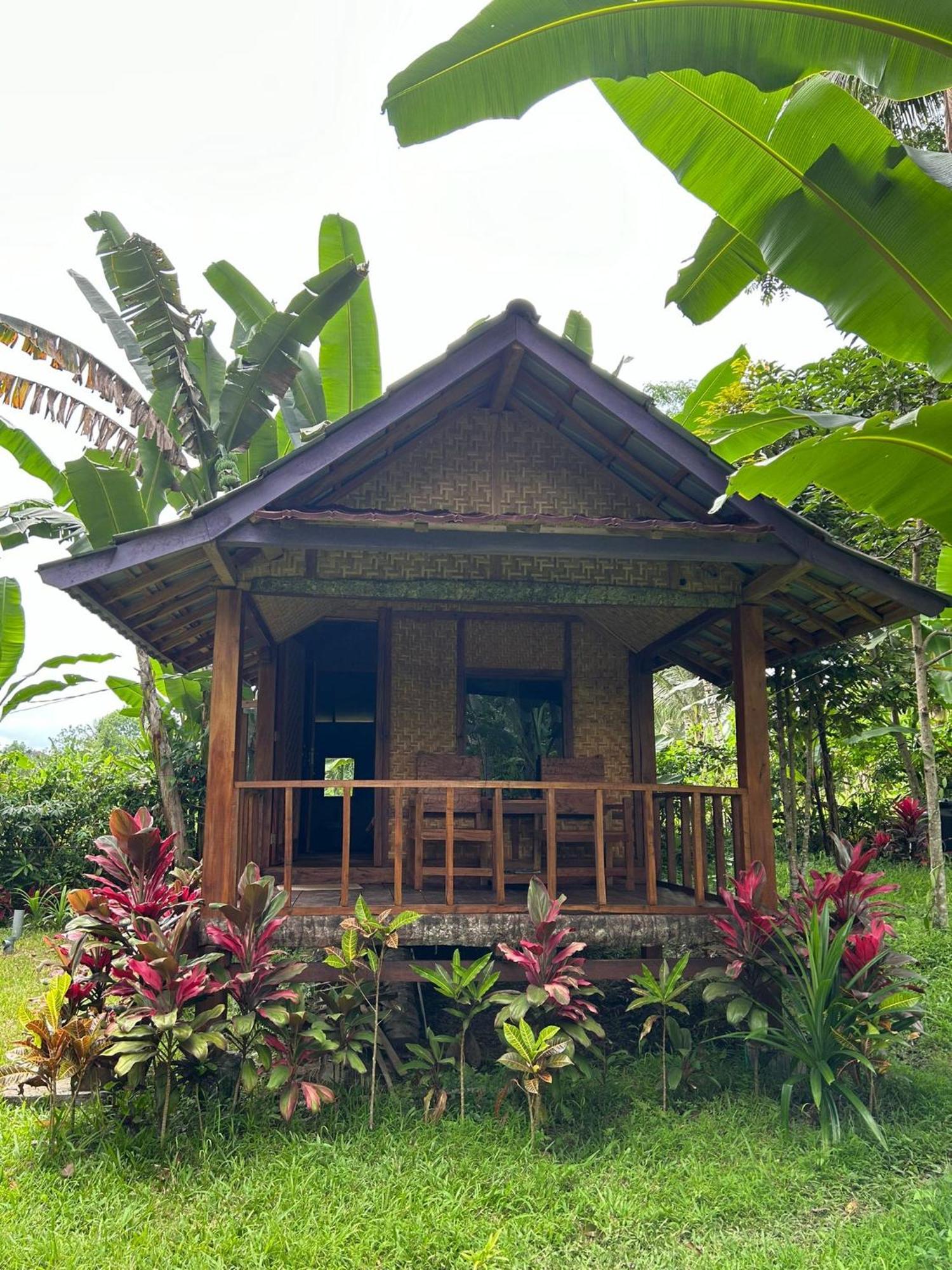 Banana Bungalows Tetebatu Værelse billede