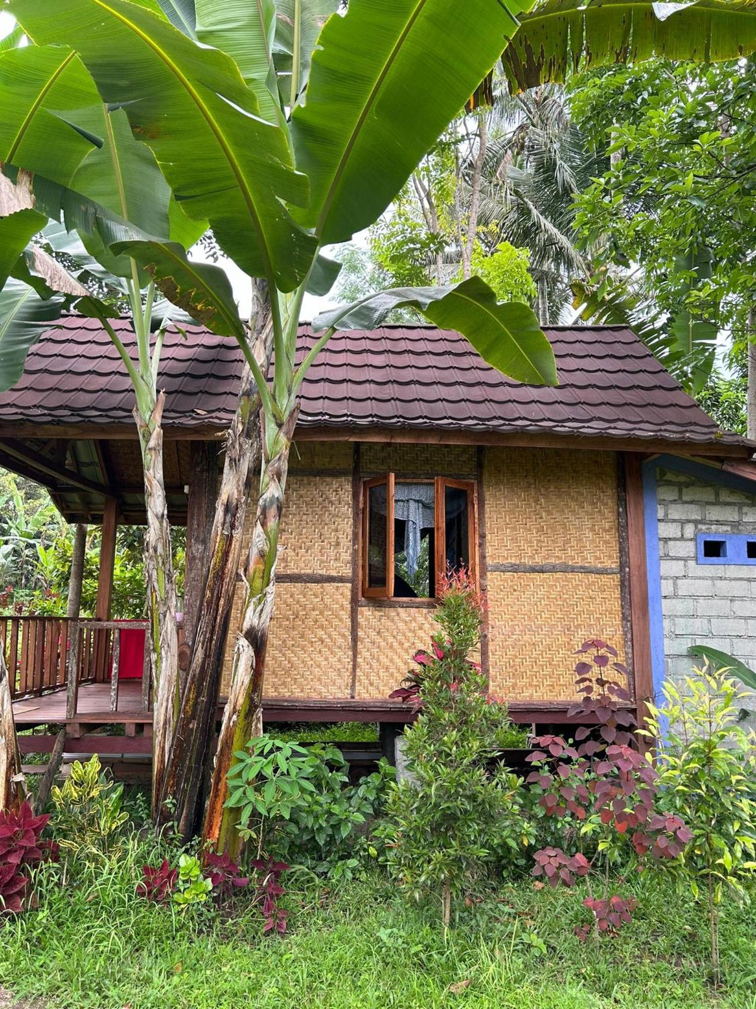 Banana Bungalows Tetebatu Værelse billede