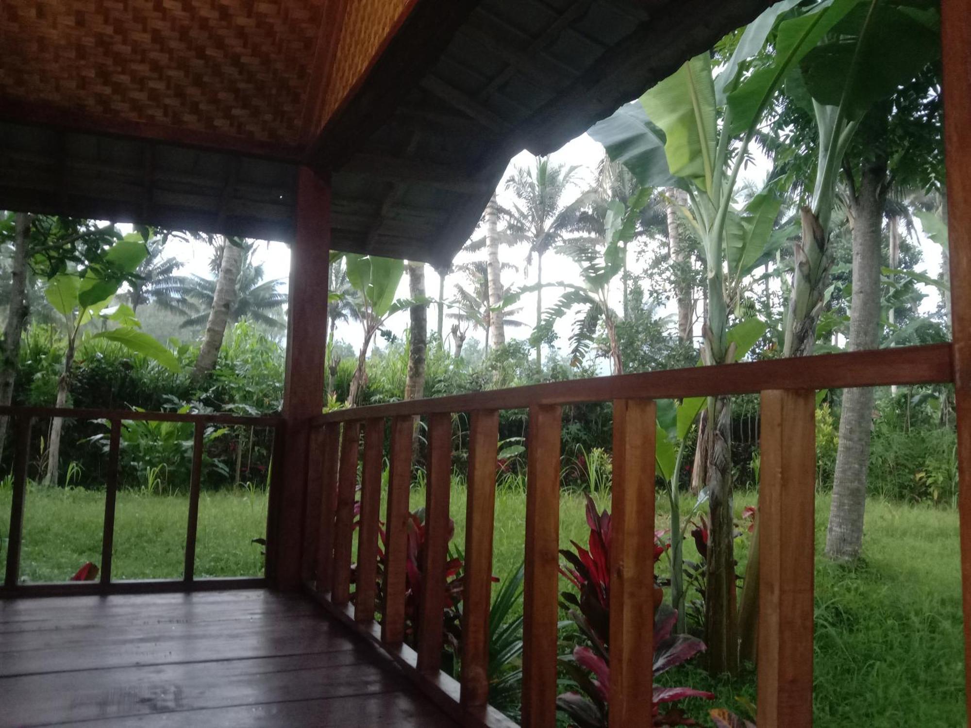 Banana Bungalows Tetebatu Værelse billede